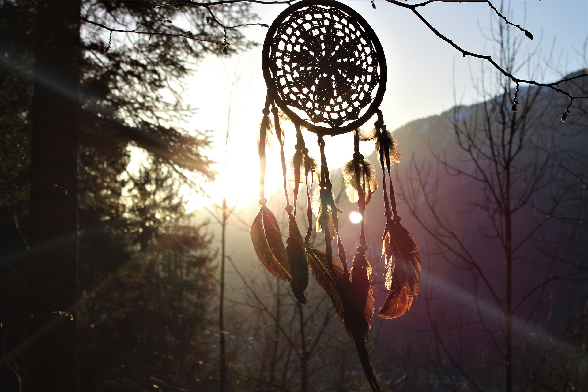 Ein Traumfänger hängt in der Abenddämmerung an einem Baum und die Federn werden vom Wind bewegt. Das idyllische Foto zeigt den Traumfänger im Wald und vermittelt eine mystische Atmosphäre.