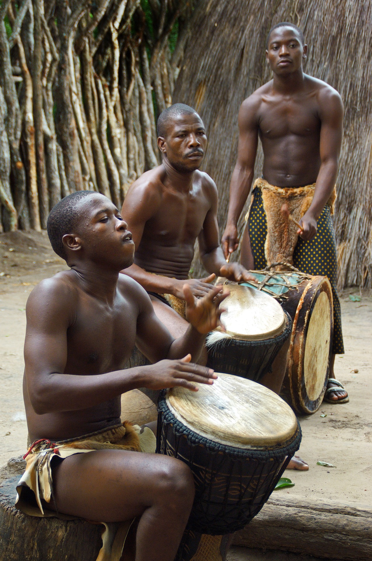 Menschen trommeln auf dem Zulu-Festival in Südafrika. Die Trommel ist ein wichtiges Symbol der indigenen Kultur und wird für zeremonielle, spirituelle und musikalische Zwecke verwendet.