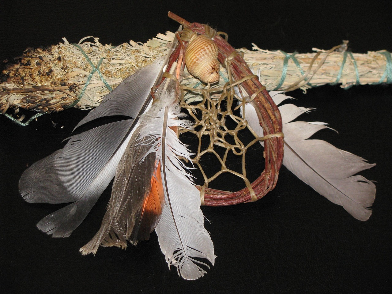 Native American: Portrait of a Modern Shaman: How a Young Woman Lives Ancient Ways in the Big City